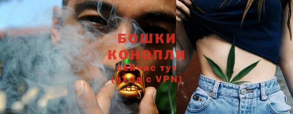 сатива Верхнеуральск