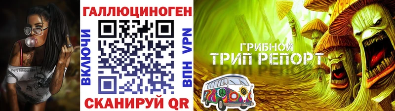 Псилоцибиновые грибы Cubensis  Лобня 